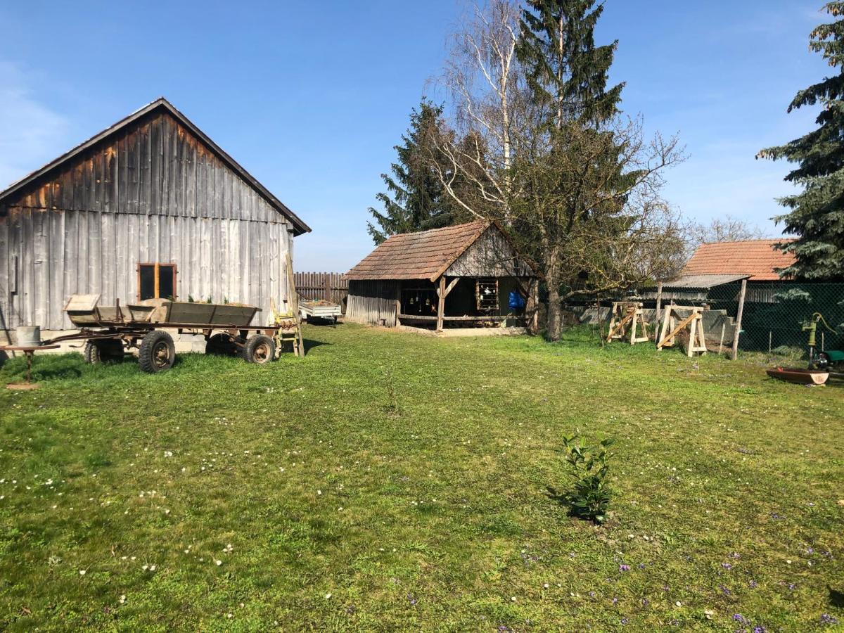 Auszeit; Gaestehaus & Mehr Kollersdorf Exterior photo